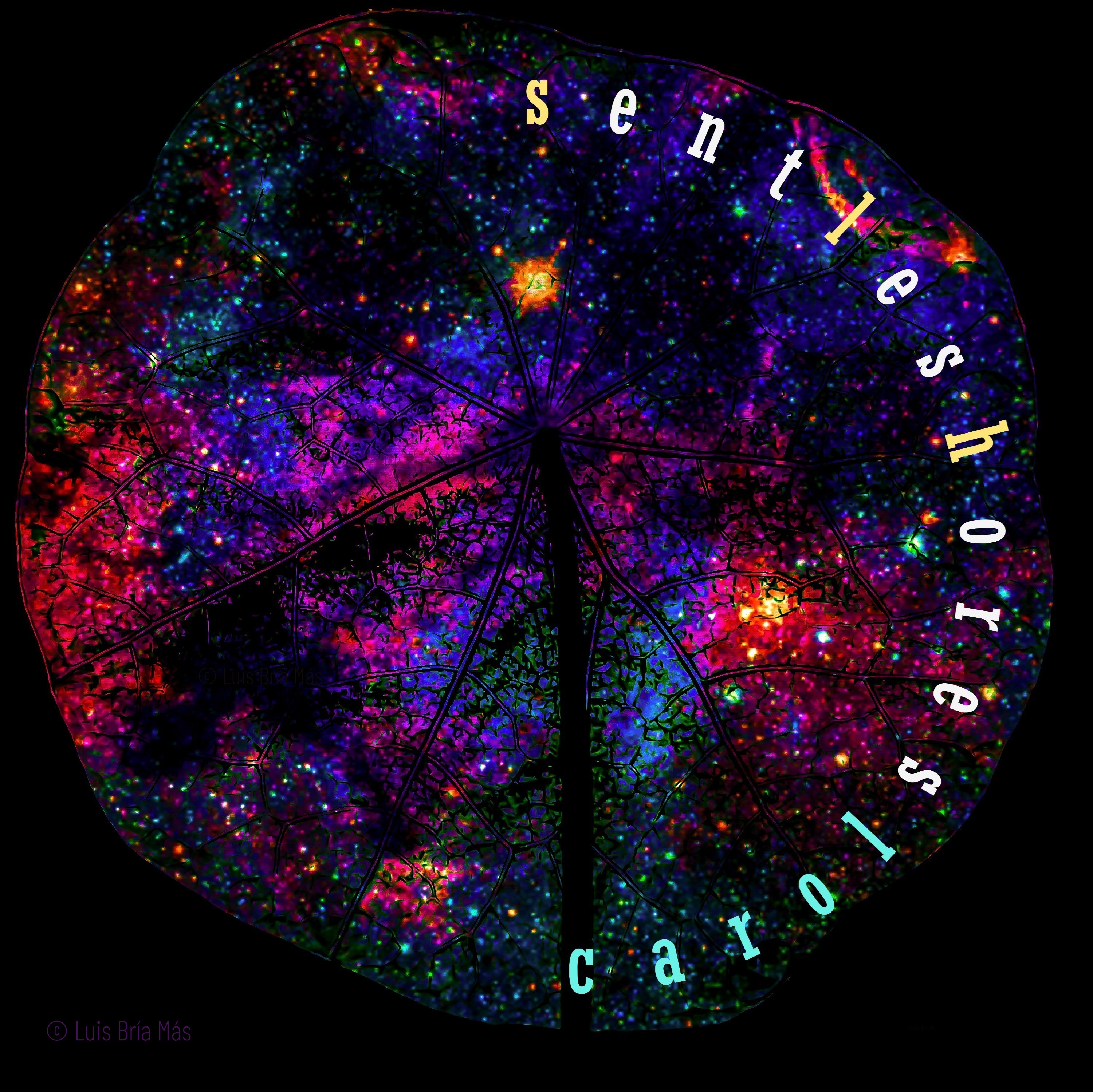 Cover artwork for Song One